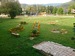 DSC_0110.JPG