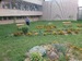 DSC_0115.JPG