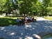 IMG_20220622_133303.jpg
