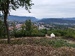 IMG_20220914_100526.jpg
