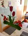 IMG_E4498.JPG