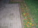P1010264.JPG