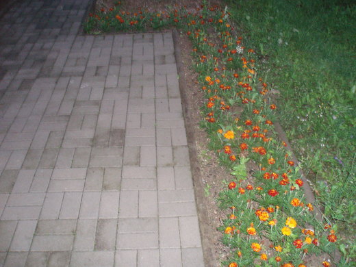 Cesta domov