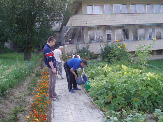 Cesta domov