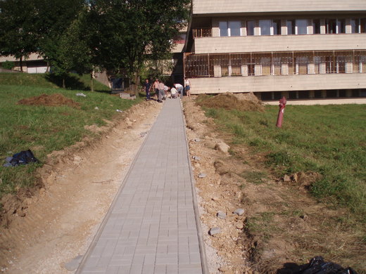 Cesta domov