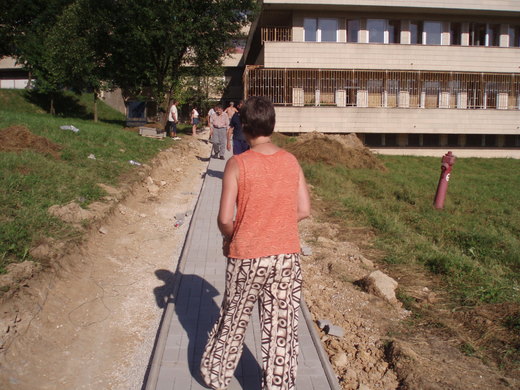 Cesta domov