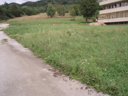 Cesta domov